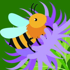 a bee collects pollen from a flower