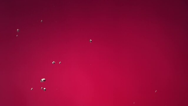 Flying of Pomegranate in Fuchsia Background in Slow Motion
