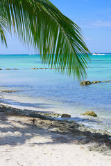 Fototapeta na wymiar Travel background with Caribbean sea and palm leaves .
