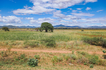Scenic view of field against sky in Mbeya, Tanzania