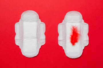 Women hygiene products or Sanitary pad with red feather on colored background. Pastel color. Closeup. Empty place for text. Female daily hygiene