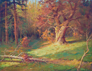 Oil landscape painting showing old forest in autumn on a sunny day