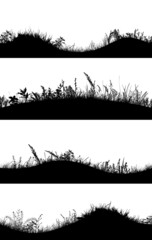 Grass silhouettes set. Vector illustration
