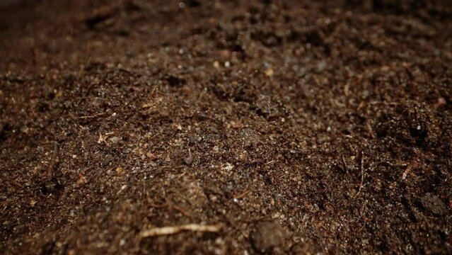 Camera moves over the ground after rain.