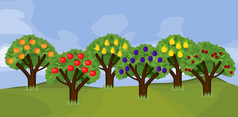 Cartoon orchard with various fruit trees (peach, apple, pear, plum, quince, cherry) with ripe fruits