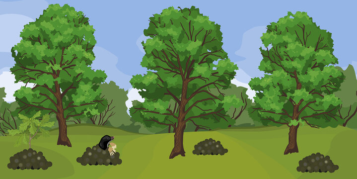 Summer landscape with black mole on molehill and tall oak trees with green crowns