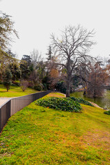 Fototapeta na wymiar Nature scene and landscape in the Retiro Park in Madrid, Spain.