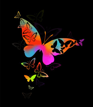Abstract multicolored butterflies on a black background. Vector illustration