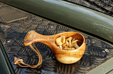 Chanterelle mushroom in wooden kuksa cup. Harvesting edible mushrooms in forest.