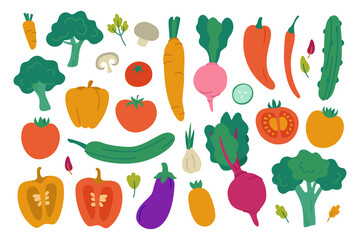 Set of fresh vegetables. Colored organic products isolated on white background. Vegan foods rich in vitamins hand drawn. Vector illustration in a flat style.