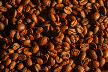 Freshly roasted brown coffee beans close up. Fragrant roasted coffee grain. Preparation of coffee seeds for cafe or cafeteria, an invigorating morning drink. Food and drink background.