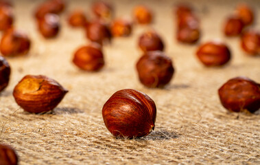 Brown peeled hazelnuts on a burlap cloth. Dry round hazel nuts close up. Hazel seed laid out in rows on a textured fabric with interlaced fibers. Background of healthy nutritious food.