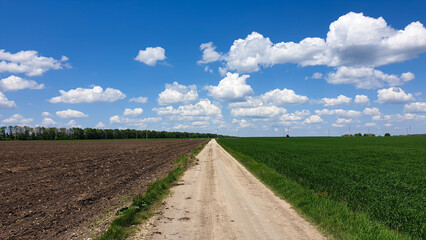 Dirt road among agricultural fields, horizon, sky, clouds