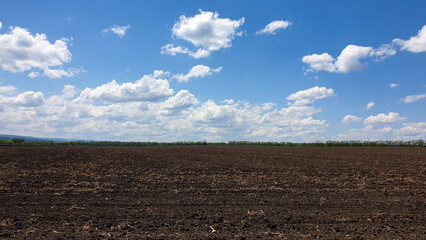 Field, horizon, sky and white clouds, nature