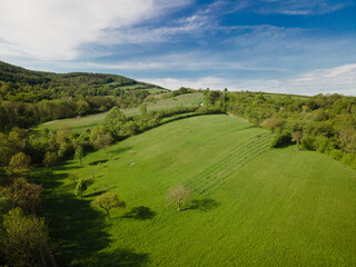 aerial drone flight over green meadows and forest in lower austria