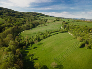 aerial drone flight over green meadows and forest in lower austria