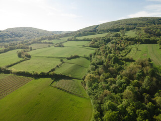 aerial drone flight over green meadows and forest in lower austria