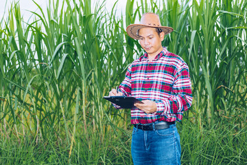 An Asian farmer in a plaid shirt stands in a field.