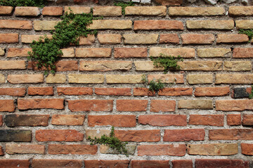 ruined ancient theater in taormina in sicily (italy) 