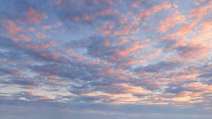 Pink blue sky with fluffy clouds at beautiful sunset as natural background. - obrazy, fototapety, plakaty