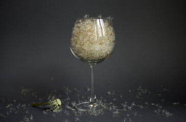 White dandelion seeds in wine glass on dark background