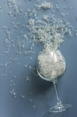 White dandelion seeds in a wine glass on blue background