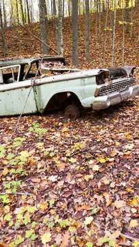Old abandoned vehicle in forest