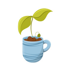 Home plant in cup. Home decor element.