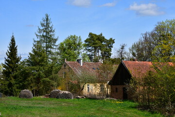 Obraz premium A close up on an old abandoned house with its roof almost entirely covered with vines and with other flora and with some decorations around the windows seen in the middle of a dense forest or moor