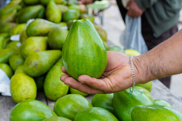 Close-up of a farmer's hand holding a fresh avocado in a traditional market