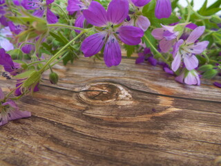 Obraz na płótnie Canvas purple flowers on brown wooden floor background