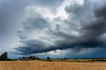 Thunder storm clouds across the fields, summer, Lithuania