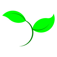 illustration logo, plant theme that always grows and develops gradually.