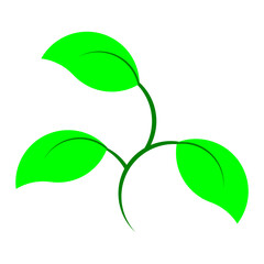 illustration logo, plant theme that always grows and develops gradually.