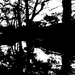 Fototapeta premium reflection of woods in water