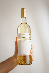 Male hand holds big bottle of white semisweet wine or champagne with no brand label, mockup template. Vertical shot, white background