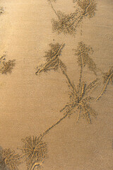 Star burst sand texture made by sand bubbler crab traces and patterns in sand. Scopimera globosa in Thailand. 