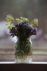 Bouquet of spring flowers in front of the window. Yellow, pink, blue, purple forest spring flowers stand in a glass jar indoors on the windowsill. Rustic still life flowers in a jar.