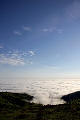 Mer de nuage - matin paysage altitude