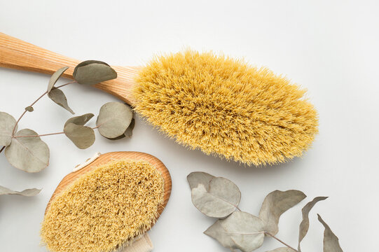Wooden body massage brushes with natural bristles, eucalyptus branch on light gray background. Natural organic accessories for health and beauty. Spa products, Zero waste cosmetics. Flat lay top view