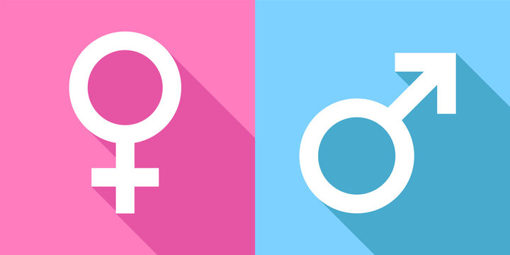 Gender male female sexual sign icon symbol flat design vector