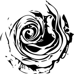 black and white rose