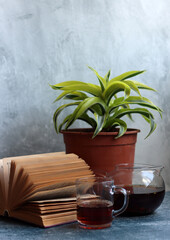 Simple composition still life with an old open book on grey texture background. Retro styled still life. 