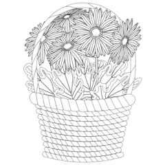 Vector black contour illustration. Coloring page with hibiscus flowers in wicker basket