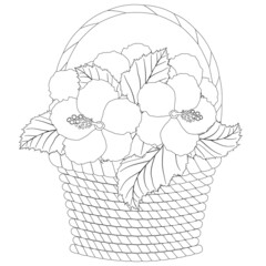 Vector black contour illustration. Coloring page with hibiscus flowers in wicker basket 