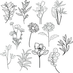 Flowers And Leaves Set In Minimalist LIne Art Style. Hand drawn sketch flowers and insects
