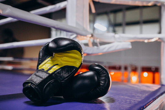 Boxing gloves lying on empty ring