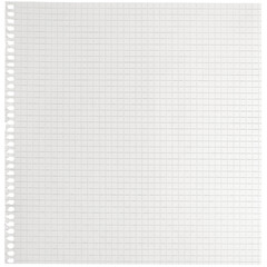 Checked spiral notebook page paper background, old aged white chequered ring binder sheet flat lay A4 copy space, isolated vertical grey squared pattern maths notepad, torn out stapled blank empty