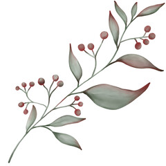 Leaf watercolor, leaves watercolor