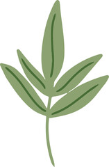 leaf illustration